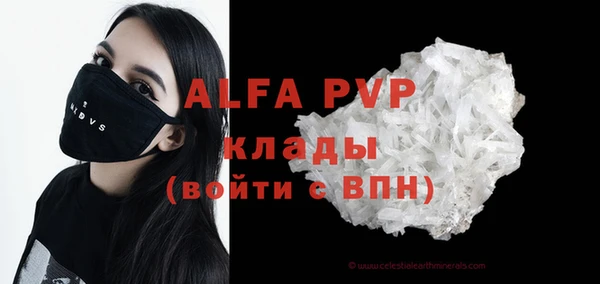 стафф Осташков
