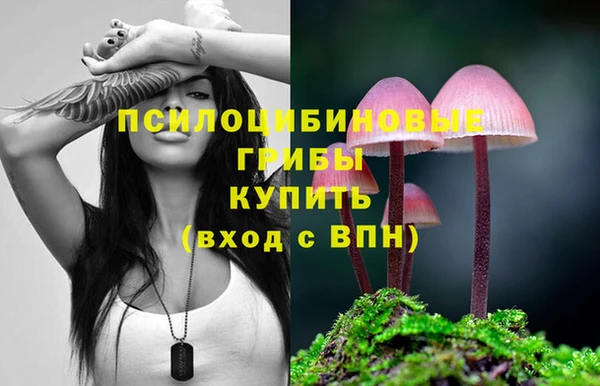 стафф Осташков