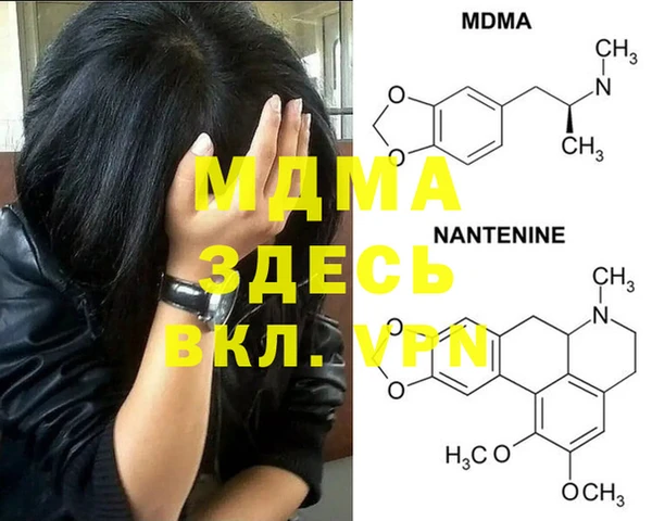 стафф Осташков